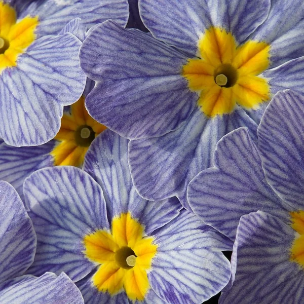 博万体育捕鱼游戏